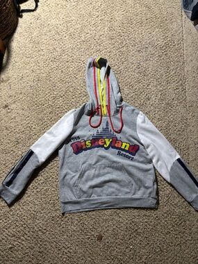 Disney Grey Kids Hooded Disneyland Resort Pullover with Colorful Logo